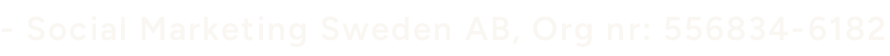 Selskapsinformasjon